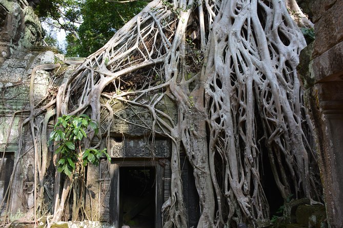 2-Day Angkor Wat Tour from Bangkok - Tips That Make the Whole Tour Feel Easier
