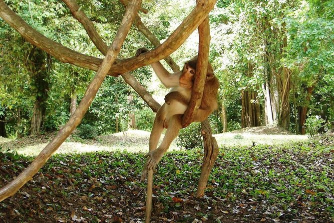 2-Day Angkor Wat Tour from Bangkok - Who This Is Best For (and Who Should Rethink It)