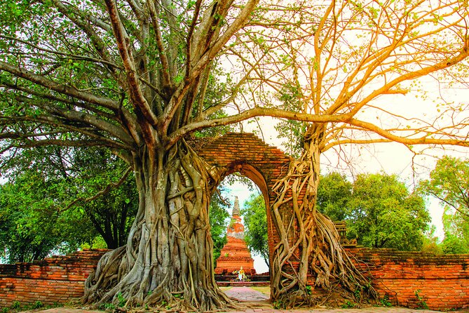 Ayutthaya Sunset Boat & UNESCO Temples: Multi-language private tour from Bangkok - Who should book this Ayutthaya sunset temple tour