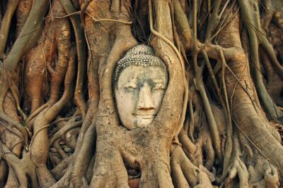 Ayutthaya Sunset Tour: UNESCO Temples & Peaceful River Cruise - Temple route: Wat Yai Chaya Mongkol, Wat Mahathat, Wat Chaiwatthanaram