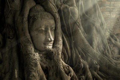 Ayutthaya Temples and River Cruise from Bangkok - Getting there and back: timing, pickup choices, and where the day can feel slow
