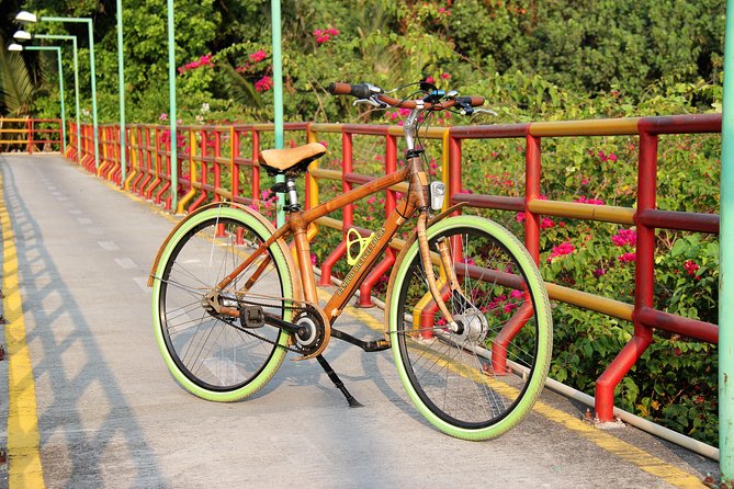 Bamboo Bicycle Tour in twilight: watch dancing Fireflies in Bangkok - Price and Value: Is $57 Worth It?