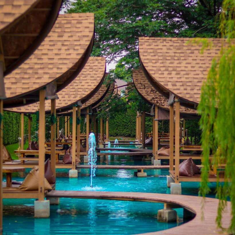 Bangkok: Bubble in the Forest Cafe Food Packages - Service and Atmosphere: Friendly Staff, Relaxing Vibes