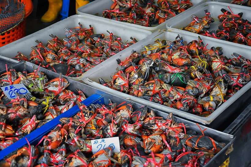 Bangkok: Damnoen Saduak Market and Maeklong Railway Market - Guide quality is the hidden value here