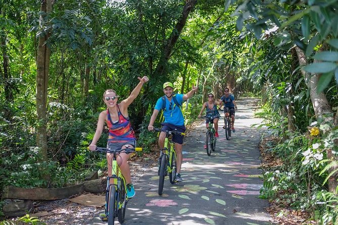 Bangkok Jungle Bike Tour - Hotel-pickup & Lunch - Wat Khlong Toei Nok: a calm start before the ride gets green