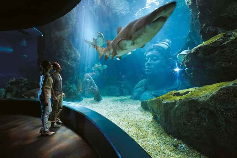 Bangkok: SEA LIFE Bangkok Ocean World Entry Ticket - Key points I’d plan around
