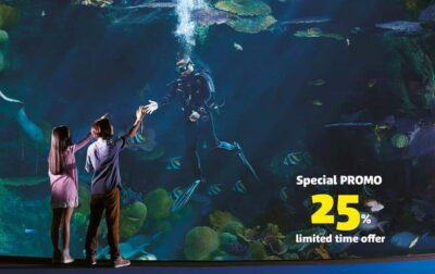 Bangkok: SEA LIFE Bangkok Ocean World Entry Ticket - Building a route through 11 themed zones without wasting time