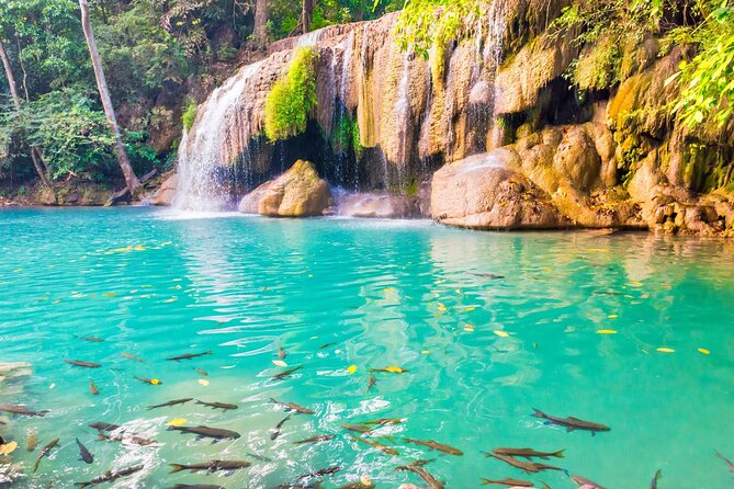 Erawan Waterfall and Elephant Care: Private Tour to Kanchanabur - Value and practicalities: what you get for $227.66 and why it can be worth it