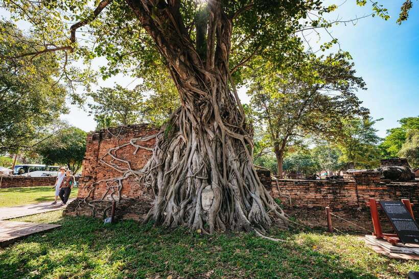 From Bangkok: Ayutthaya Temples Guided Tour with Lunch - Wat Chaiwatthanaram: the riverside temple you’ll remember for its angles