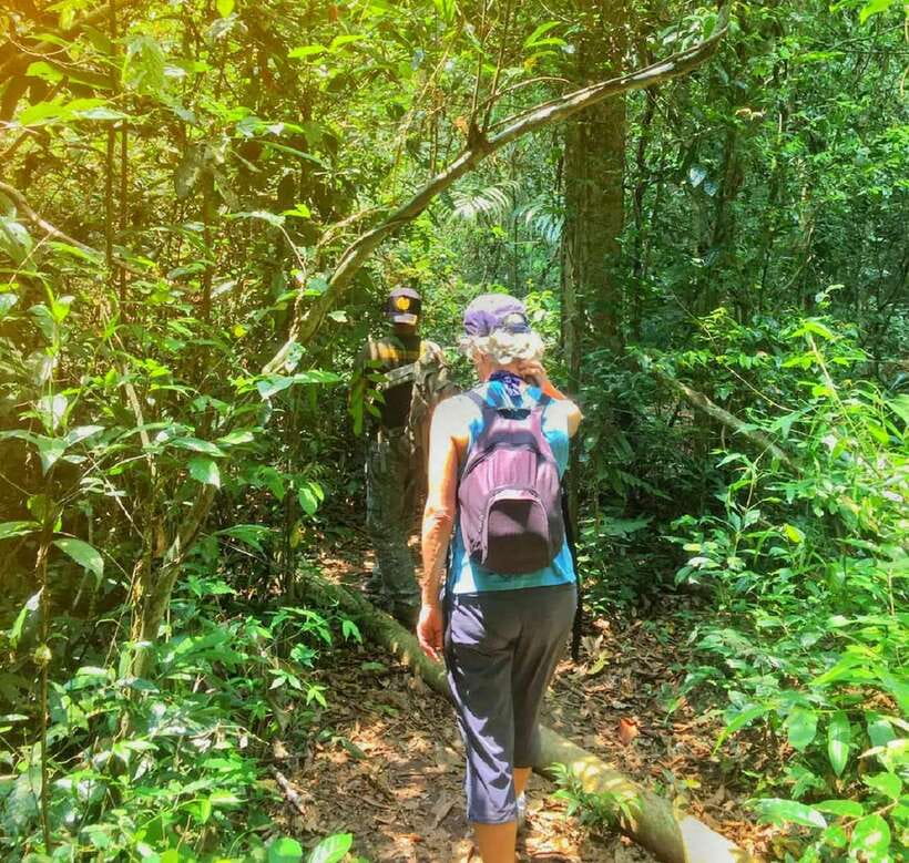 From Bangkok: Khao Yai National Park Small-Group Day Trip - Key Highlights You’ll Feel Immediately