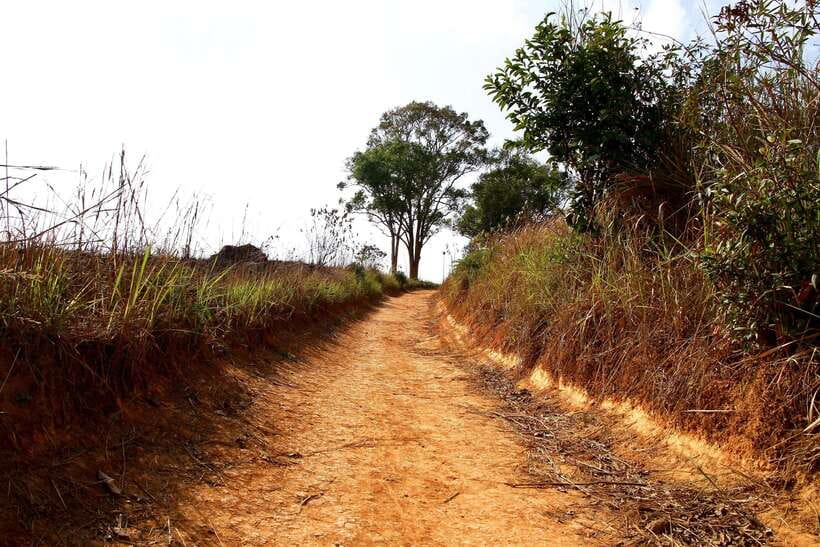 From Bangkok: Khao Yai National Park Small-Group Day Trip - Lunch Break at the Park: Simple Fuel, Minimal Stress