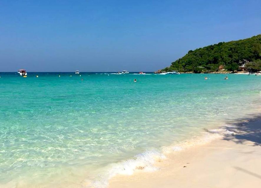 From Pattaya/Bangkok: Island Day Trip with Beach Activities - Coral Island time: reef-looking, geese included, then off again