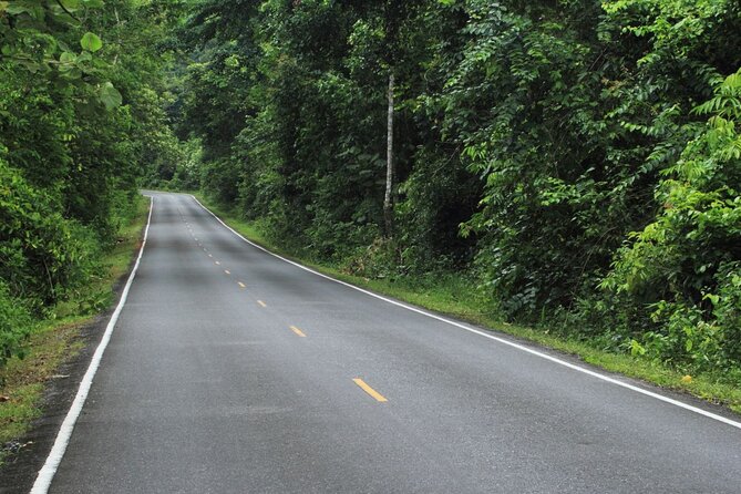 Khao Yai National Park Full-Day From Bangkok - Including Ticket - Fitness, Shoes, and the Stuff You Should Pack