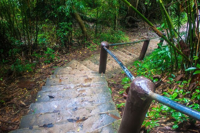 Khao Yai National Park Full-Day From Bangkok - Including Ticket - Water, Lunch, and Comfort on the Route