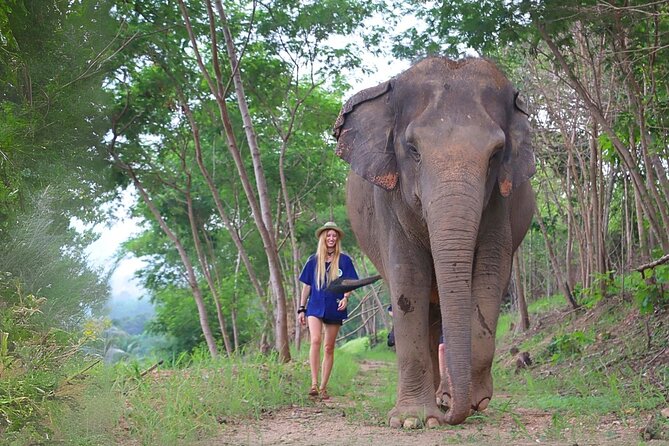 Living Green Elephant Sanctuary Tour from Bangkok and Pattaya - Living Green Elephant Sanctuary: The Big Idea