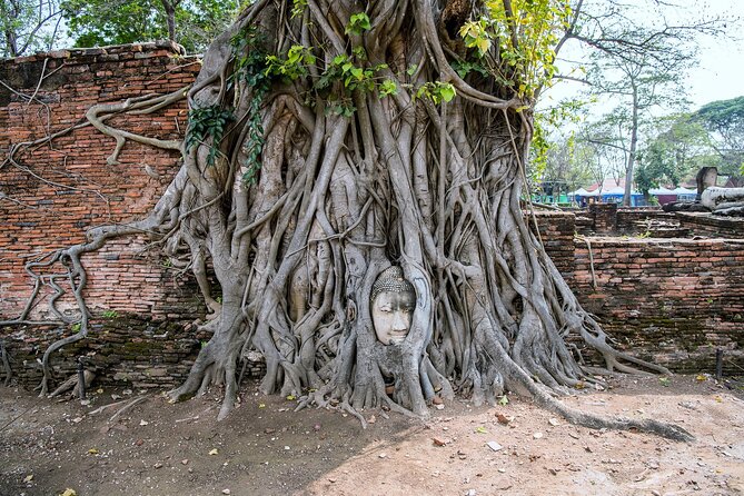 Private Ayutthaya Day Tour from Bangkok - The guide experience: where this tour wins
