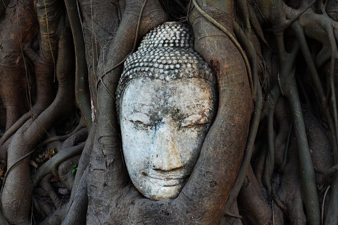 Private Excursion to Ayutthaya, UNESCO World Heritage site with Boat Tour - Wat Mahathat: the famous tree-root Buddha head
