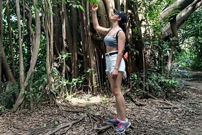 The Original Bicycle Tour in the Green Jungle of Bangkok - Cycling the island: narrow elevated paths and when to choose the easier route